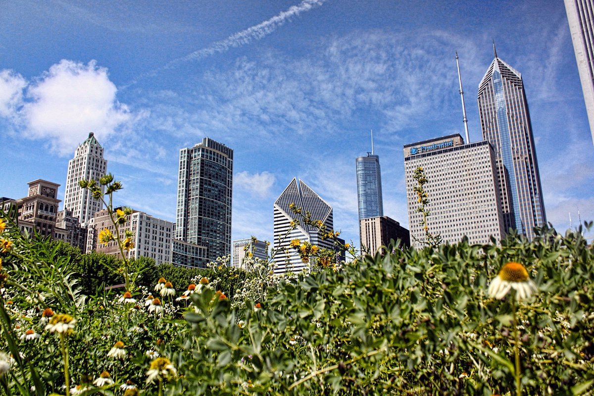 Lurie Garden All You Need To Know