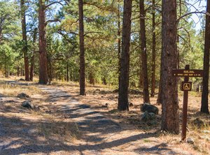 LAKEVIEW CAMPGROUND - Reviews (Flagstaff, AZ)