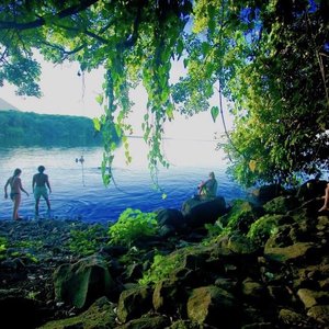 getlstd_property_photo