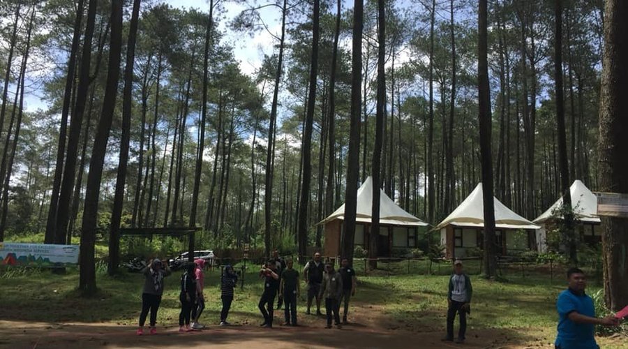 dikelilingin pohon tinggi