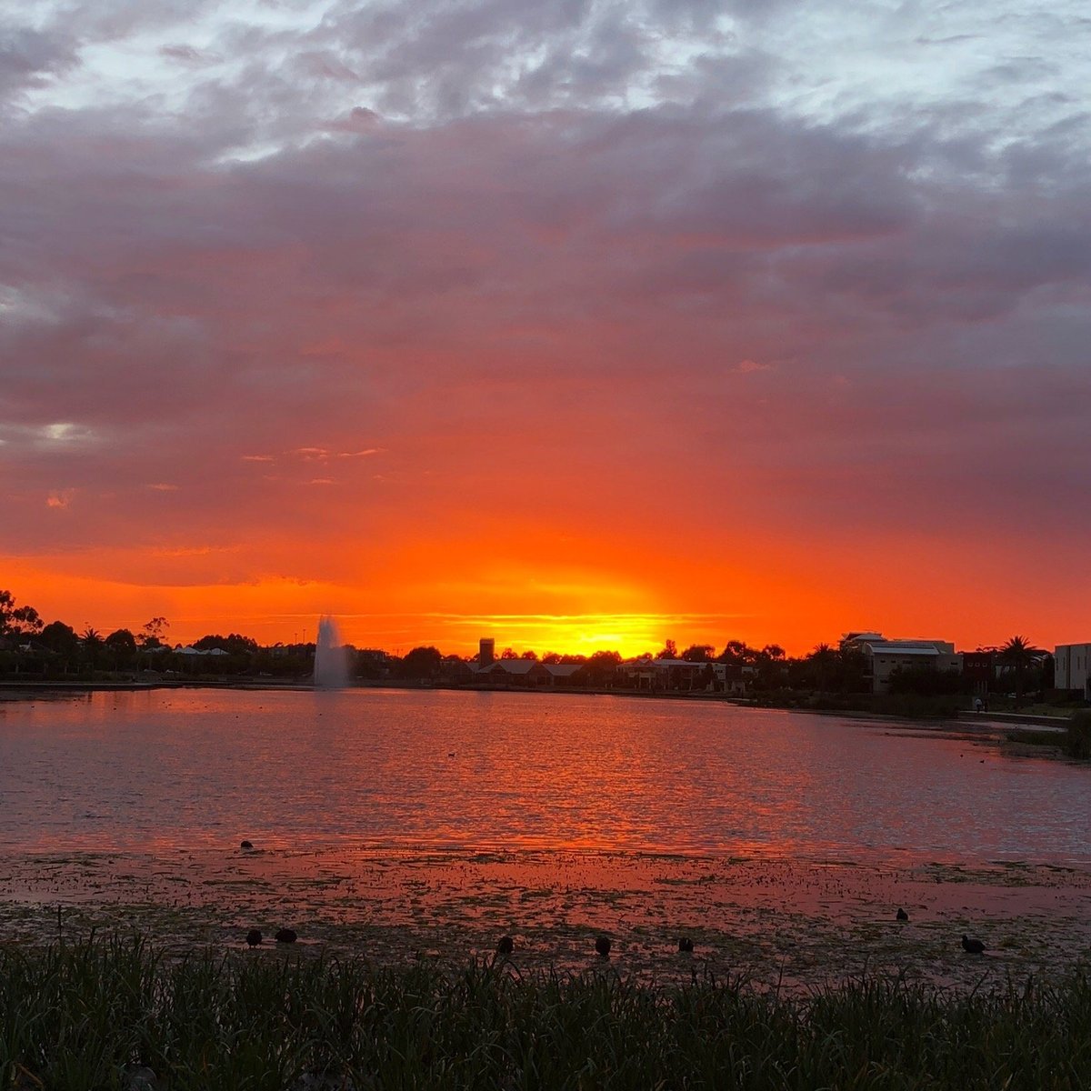 lakeside-recreation-reserve-pakenham-all-you-need-to-know-before-you-go