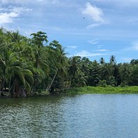 Buada Lagoon (Nauru) - All You Need to Know BEFORE You Go