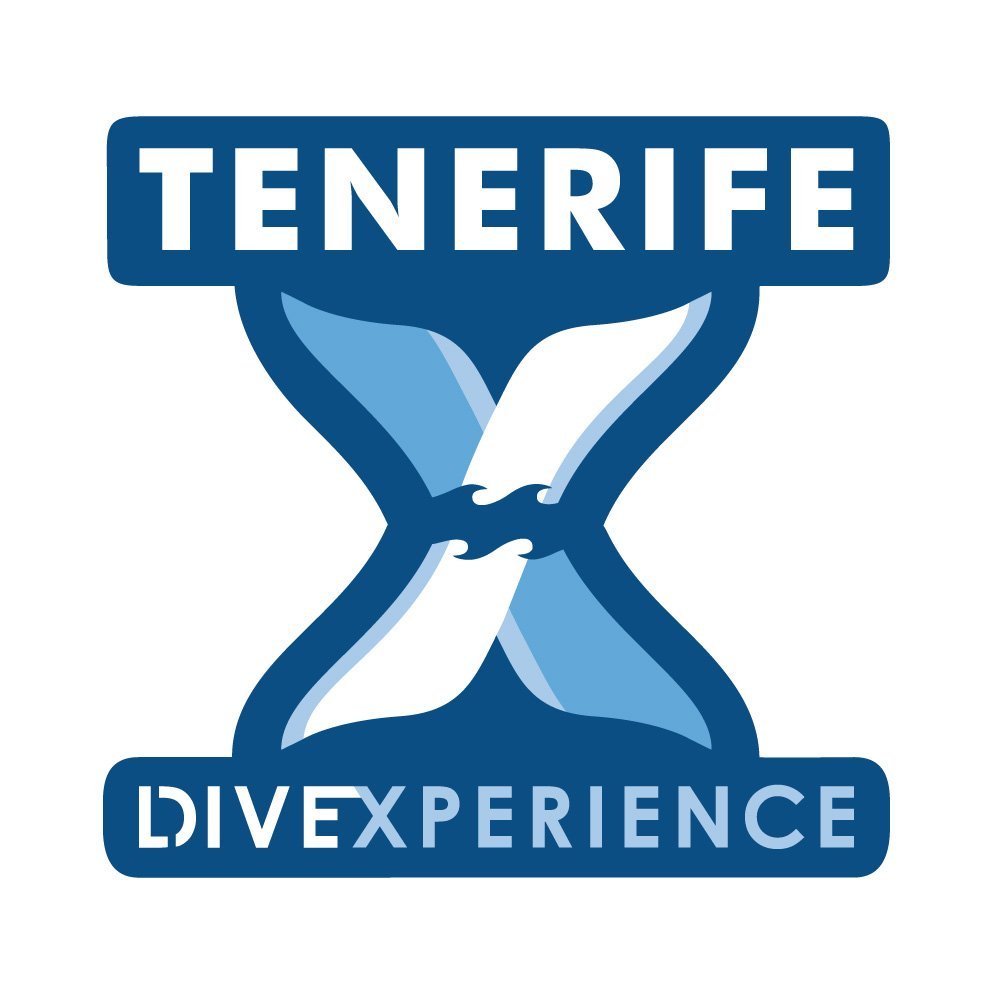 Tenerife Dive Experience - All You Need To Know Before You Go (2025)