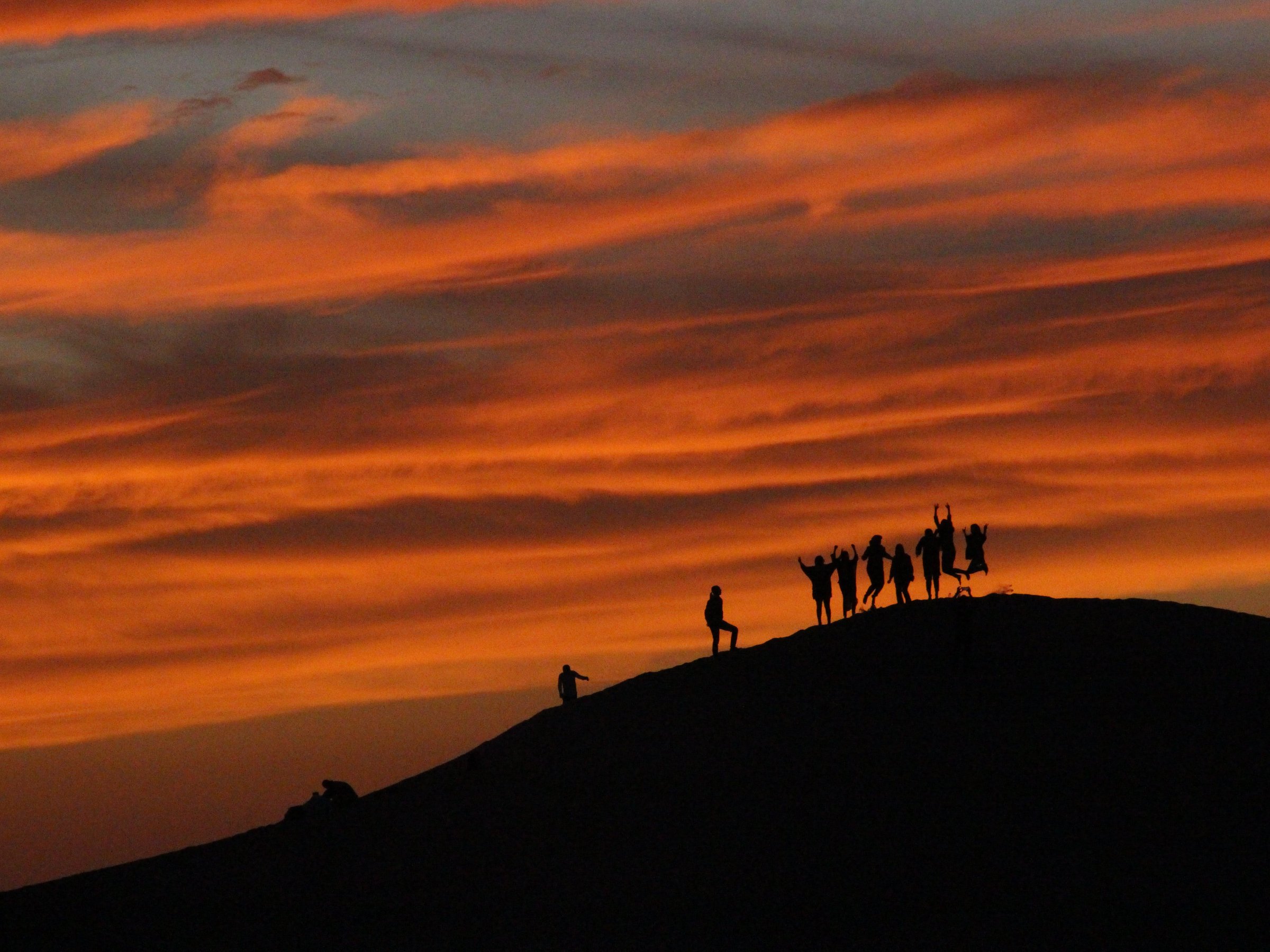 Sinbad Desert Camp (Yazd) - All You Need to Know BEFORE You Go