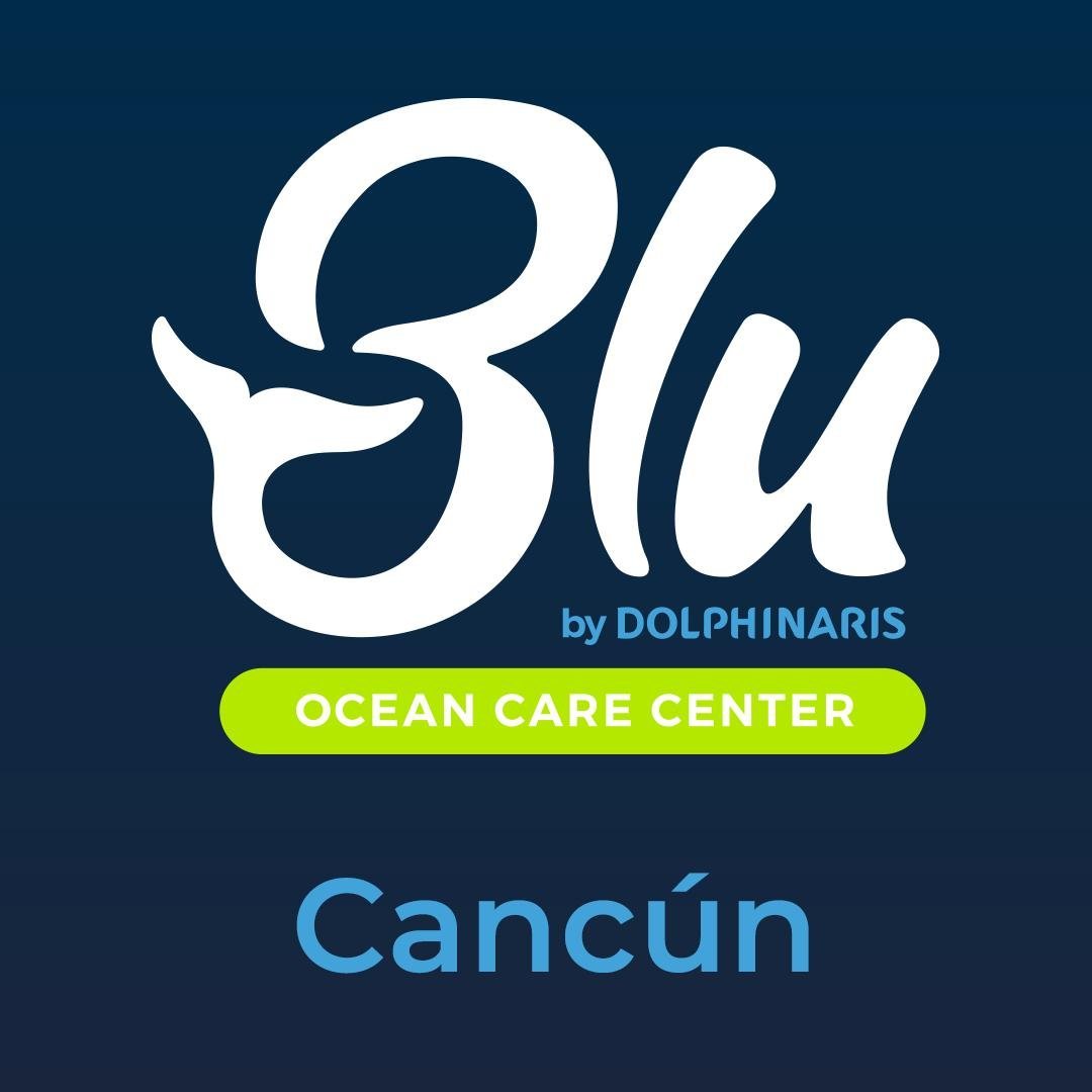 blu-canc-n-cancun-mexico-address-phone-number-tripadvisor