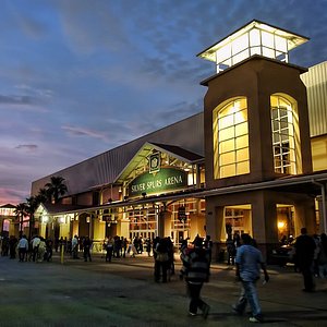 ICE Polar Express at Gaylord Palms - Picture of Gaylord Palms Resort &  Convention Center, Kissimmee - Tripadvisor