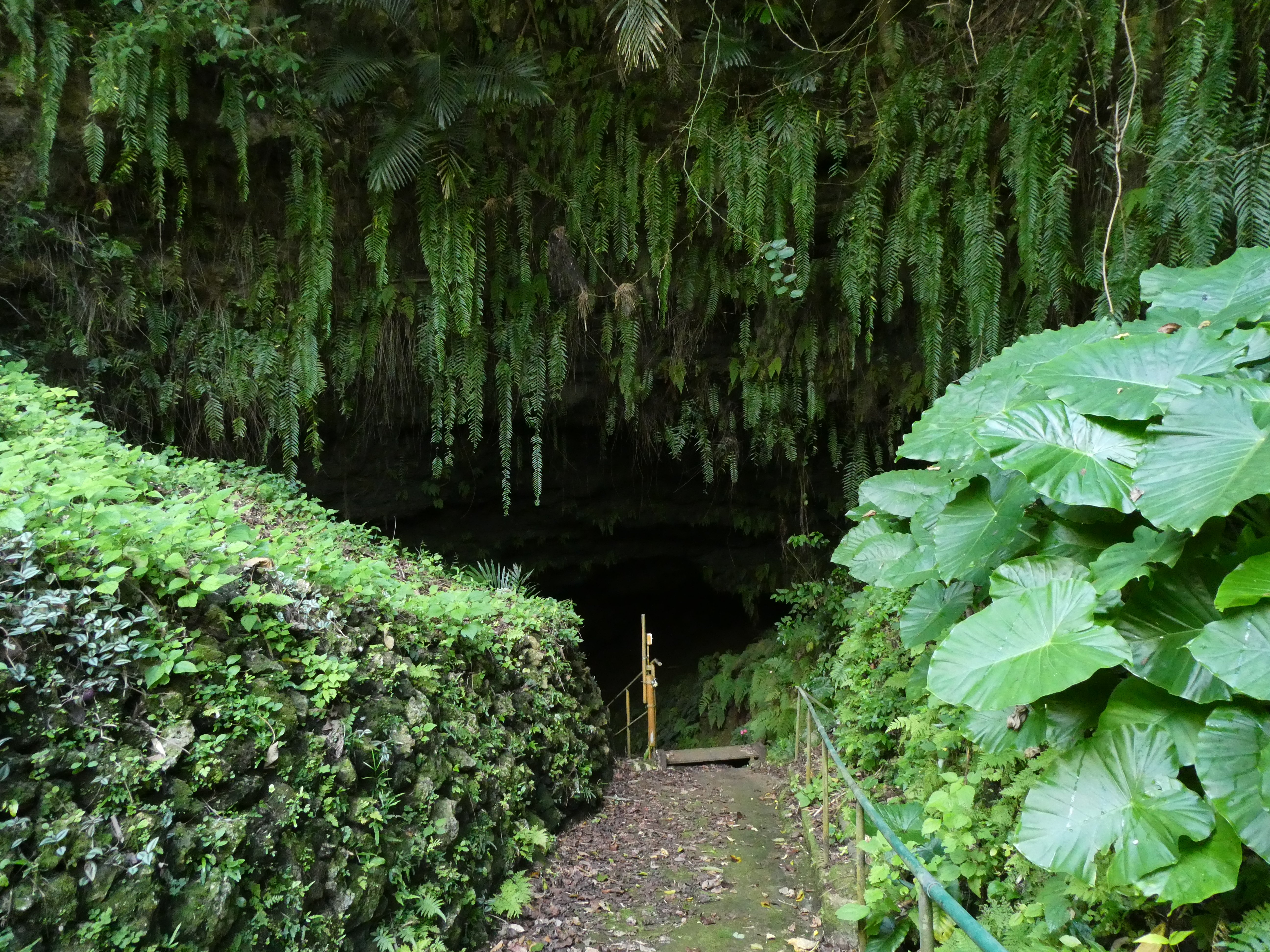 THE 15 BEST Things To Do In Okinoerabu-jima (2024)