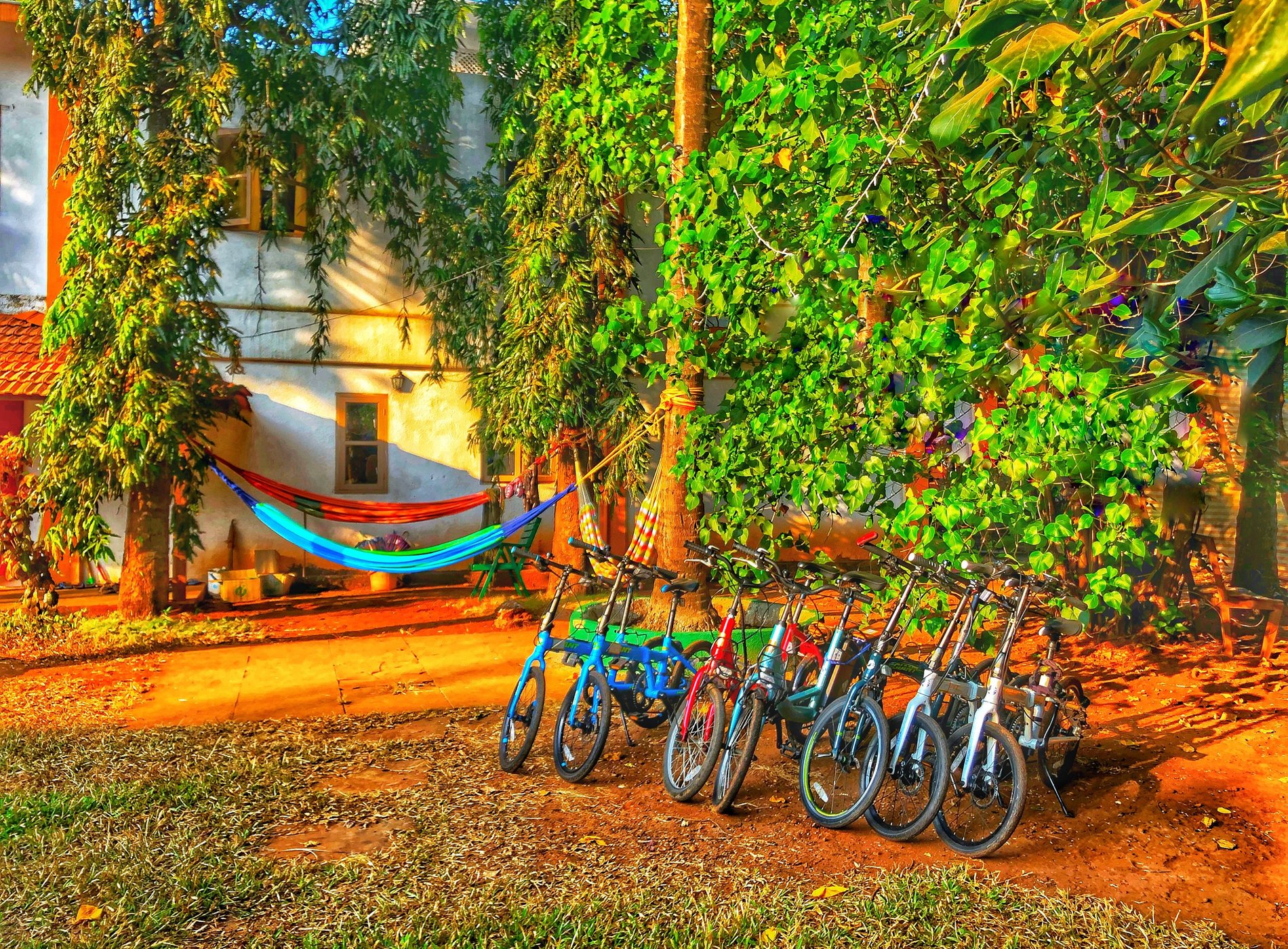 Red Door Hostel by null