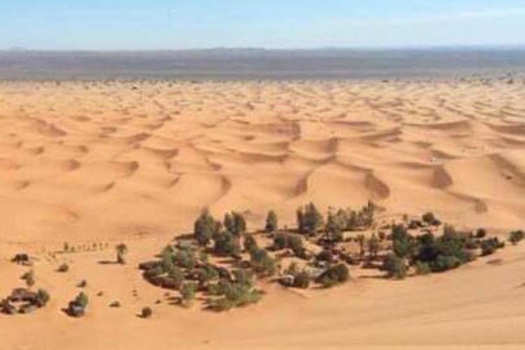 Welcome in thé désert camp for tents obiraoasismerzouga.booking.com 🐪🐪⛺⛺🌴🌴🌴🌒🌌🌄