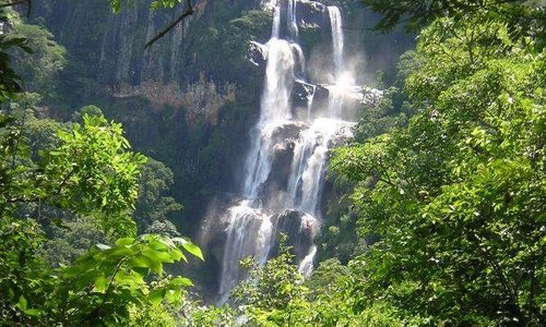 Is Tanzania in your bucket list this year! well lets no wait any more grab your passport and come to Safari, Mountain Trekking, Zanzibar beach, Days Trips and many more. Send us E-Mail info@exceedexpectationstours.com or visit our website on http://www.exceedexpectationstours.com