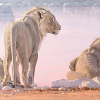 Okevi Boys - by award winning wildlife artist Paul Dixon