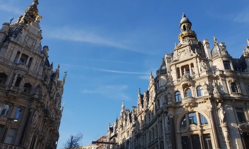 Prachtig winter weertje in Antwerpen