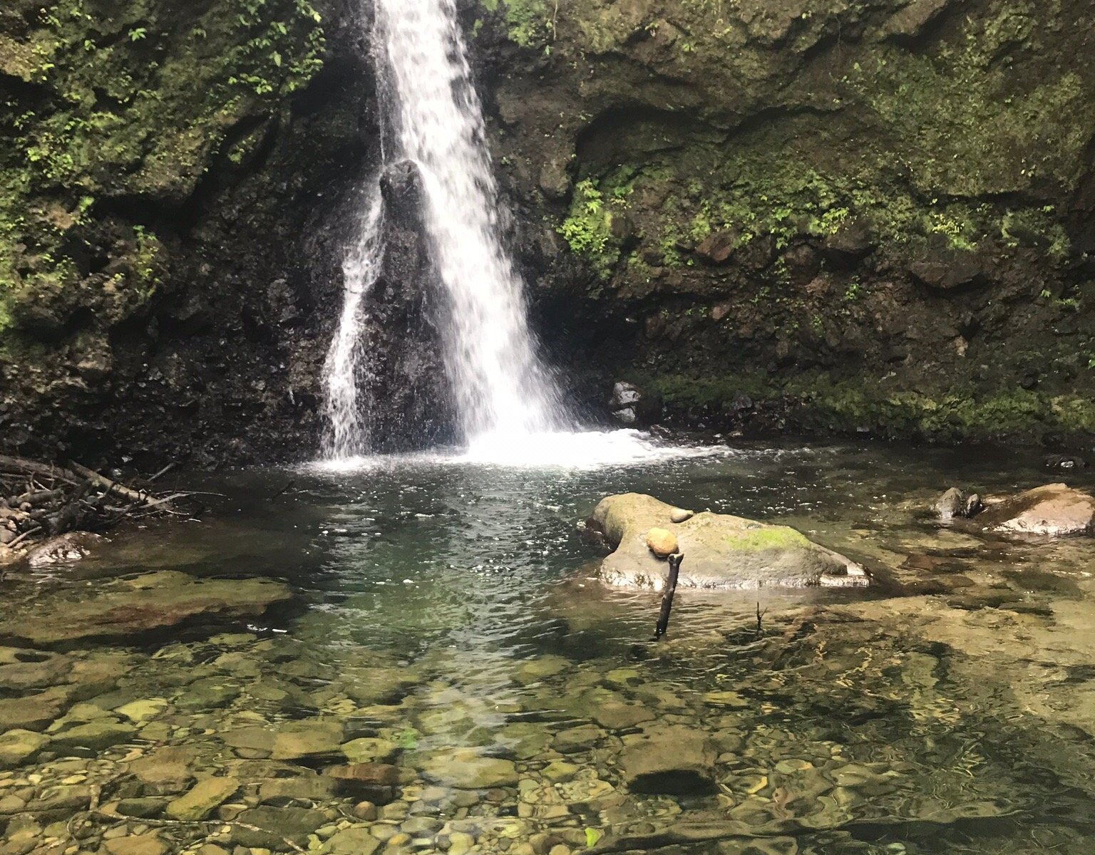 Eco Tour River Tubing Hibiscus Falls (Roseau) - All You Need to Know ...