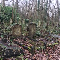 Part of the cemetery that we were searching. Many graves are sinking into the ground - hence the ground is unstable.
