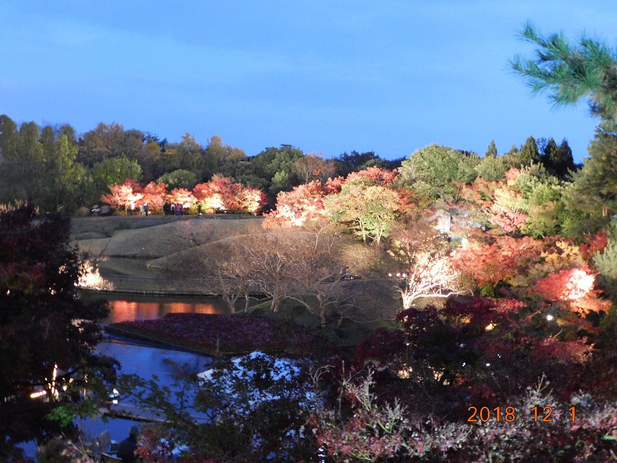 CAPODANNO A KYOTO - NipPop