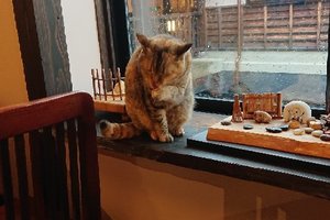 食事