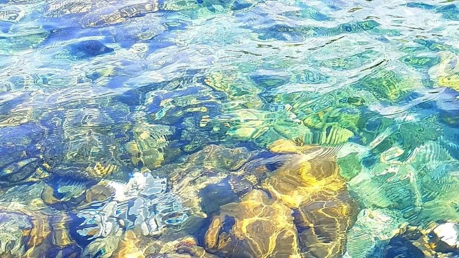 Phú Quốc Tony's Tour by speed boat to the southern off phu quoc island!
