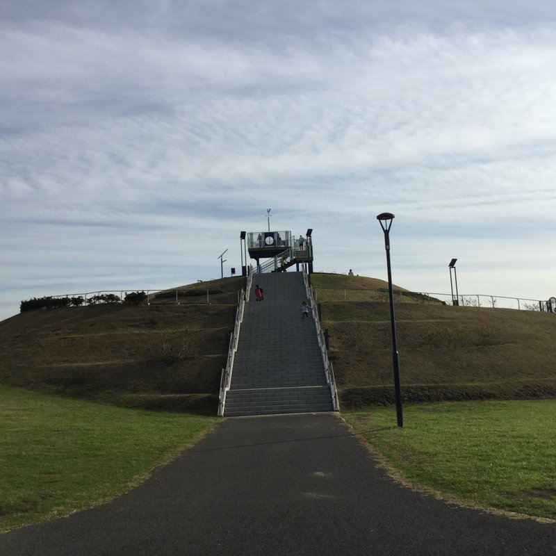 THE 15 BEST Things to Do in Urayasu - 2021 (with Photos) - Tripadvisor
