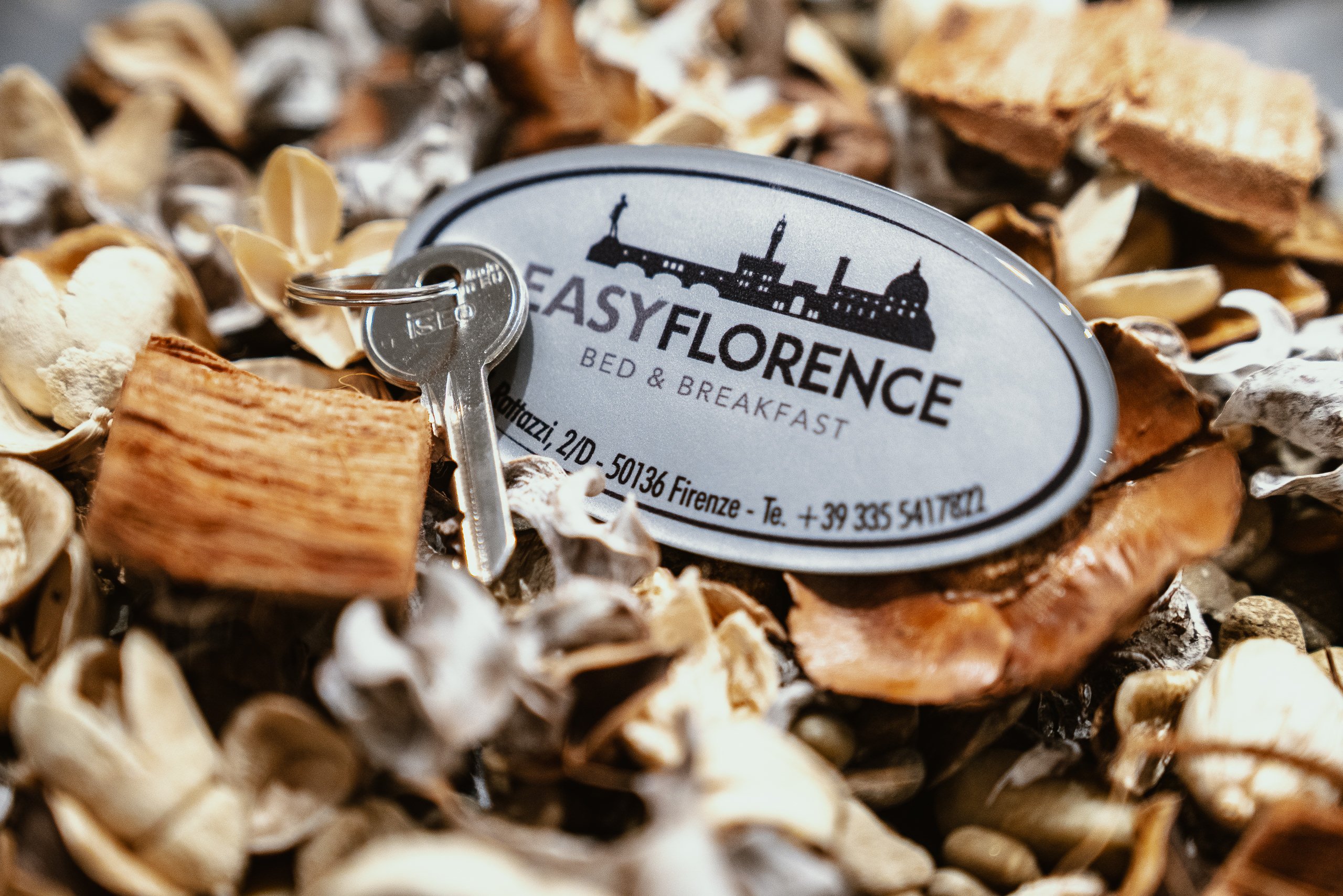 EASY FLORENCE B&B (Firenze): Prezzi E Recensioni 2024