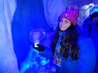 É fria - Avaliações de viajantes - Dreams Ice Bar - Tripadvisor