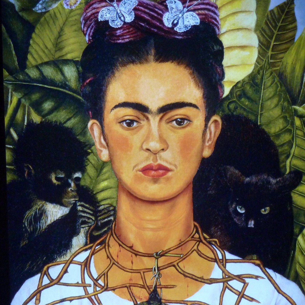Museo Frida Kahlo (Playa del Carmen) - All You Need to Know BEFORE You Go