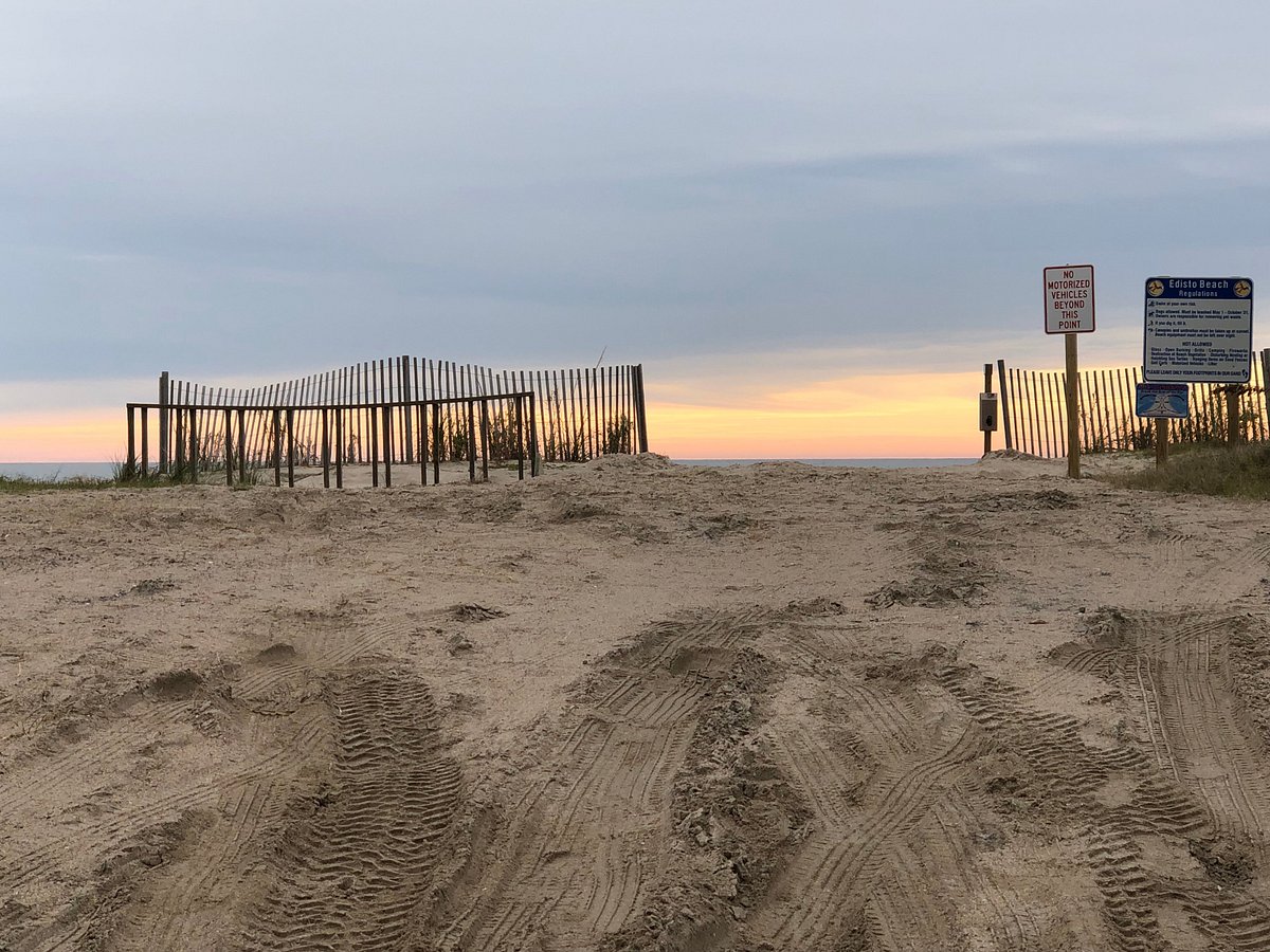 Look at all this beautiful - Edisto Pavilion Beach Store