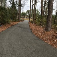https://coastalbohemian.blogspot.com/2019/01/wee-wonderland-walking-path-myrtle-beach.html