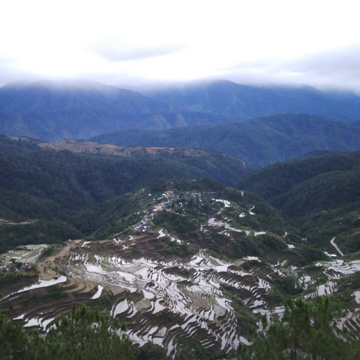 MALIGCONG RICE TERRACES (Bontoc) - 2023 What to Know BEFORE You Go