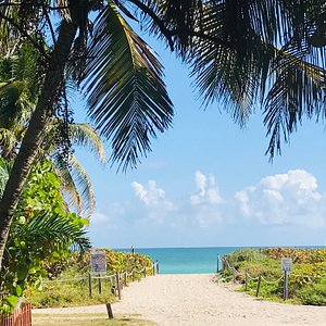 12 th beach - Picture of 12th Street Beach, Miami Beach - Tripadvisor
