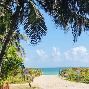 Tô de Férias - Picture of 12th Street Beach, Miami Beach - Tripadvisor