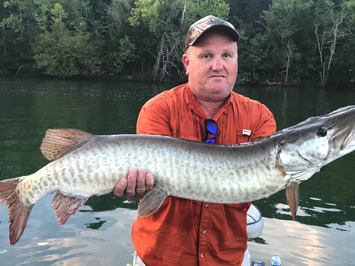 Tennessee Musky Fishing Quick Tips : Angle or Approach for Structure Muskies