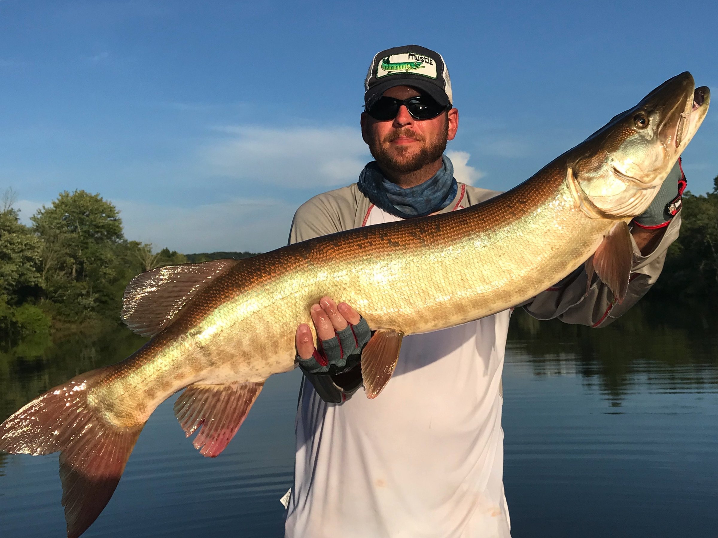 Tennessee Musky Fishing - All You Need to Know BEFORE You Go (2024)