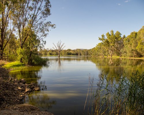 THE 10 BEST Things to Do in Albury (2024) - Must-See Attractions