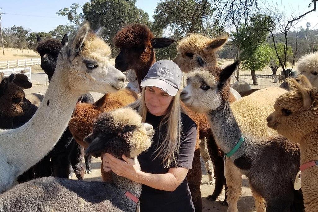 Epic Alpacas Tours (Catheys Valley) - All You Need to Know BEFORE You Go