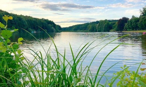 A kempingünk tóparton fekszik, fürdési lehetőség a szomszédos strand területén engedélyezett. Gyalogosan egy kellemes séta keretében fél óra alatt a tó körbesétálható, részben erdei ösvényeken, részben kiépített gyalogutakon.