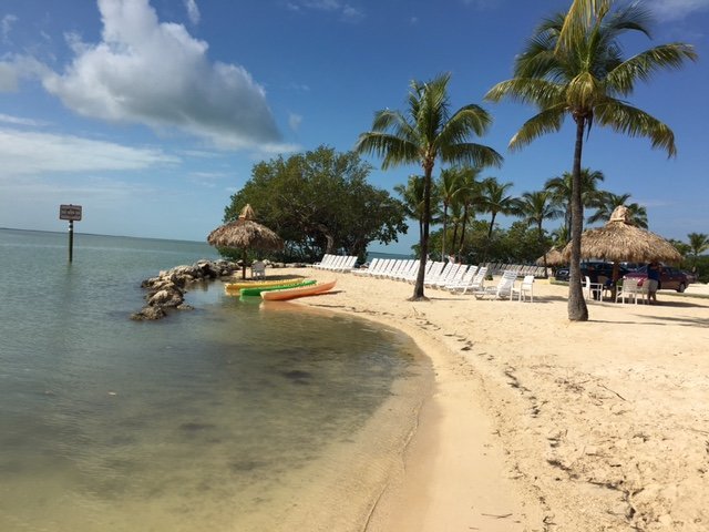 Sunshine Watersports (Key Largo) - All You Need to Know BEFORE You Go