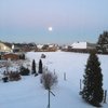 Gelasa