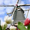 Holland Private Tour
