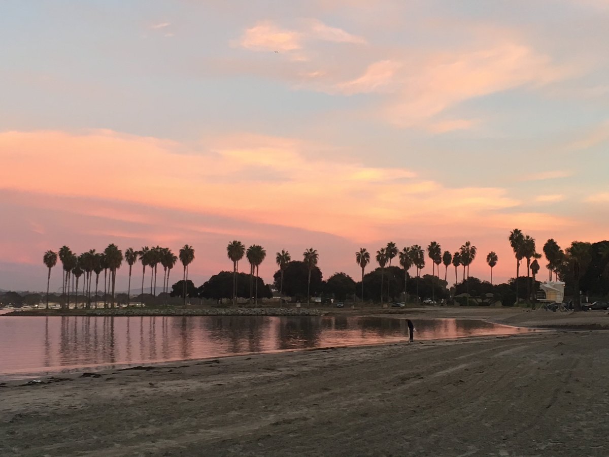 are dogs allowed at mission bay beach