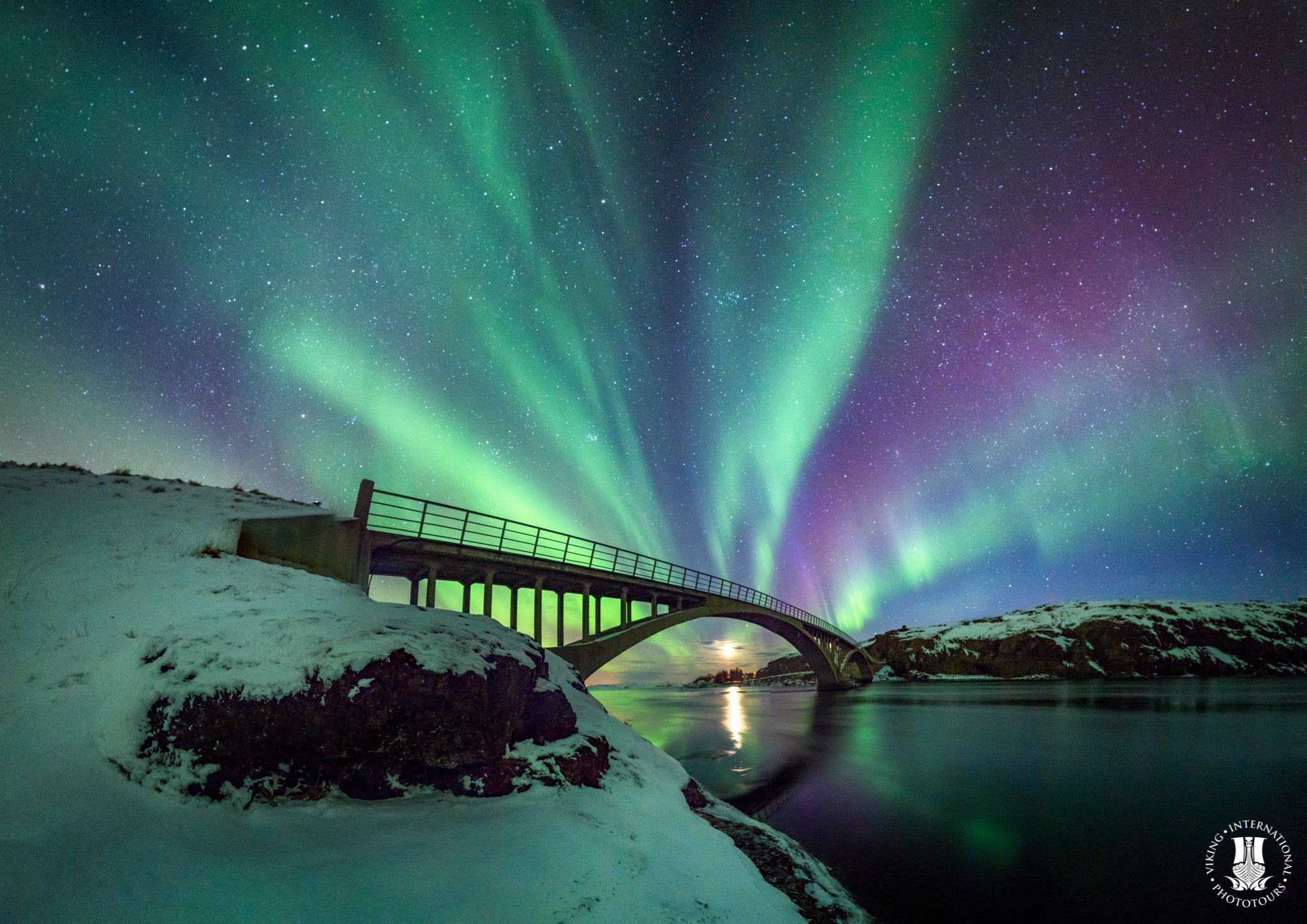 VIKING INTERNATIONAL PHOTOTOURS (Reykjavik): Ce Qu'il Faut Savoir