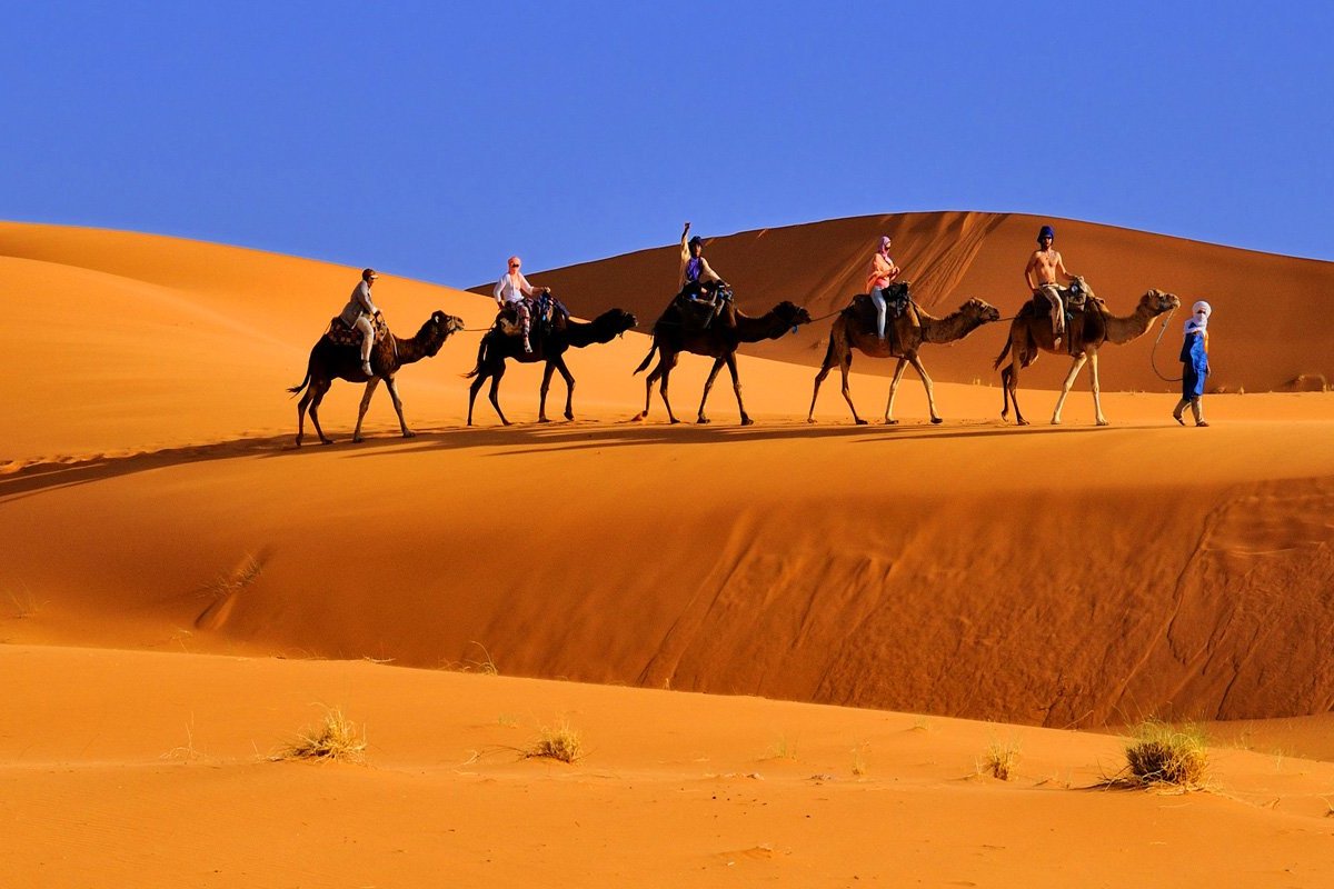 Travel Amar (Ouarzazate, Morocco): Hours, Address - Tripadvisor