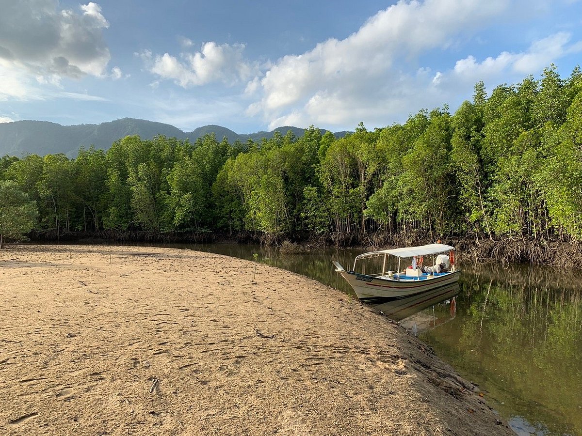 langkawi mangrove tour reviews