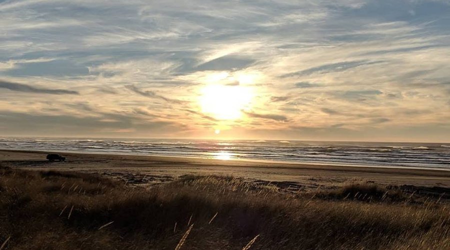 Sunny day from the dunes