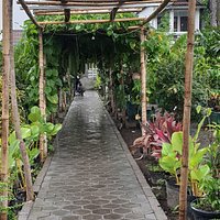 Gudeg Legenda mbok Joyo