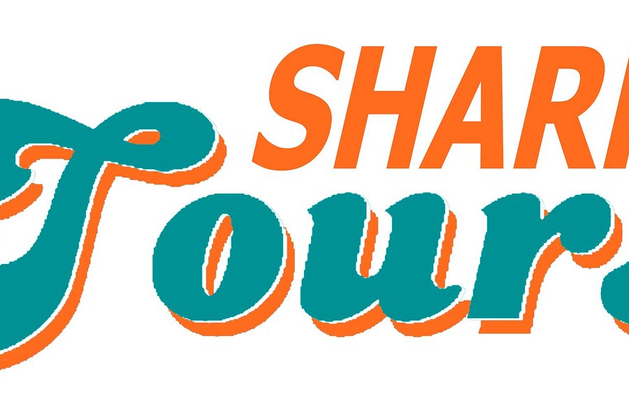 florida shark tours