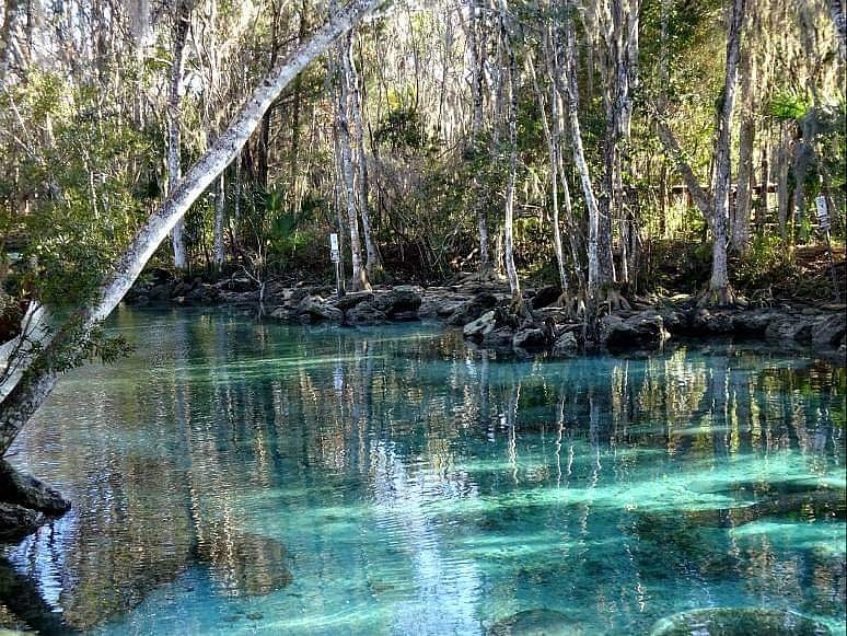Crystal River National Wildlife Refuge - All You Need to Know