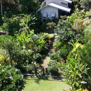 THE 10 BEST Levuka Hotel Deals (Jan 2024) - Tripadvisor