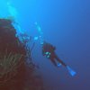 samishdiver