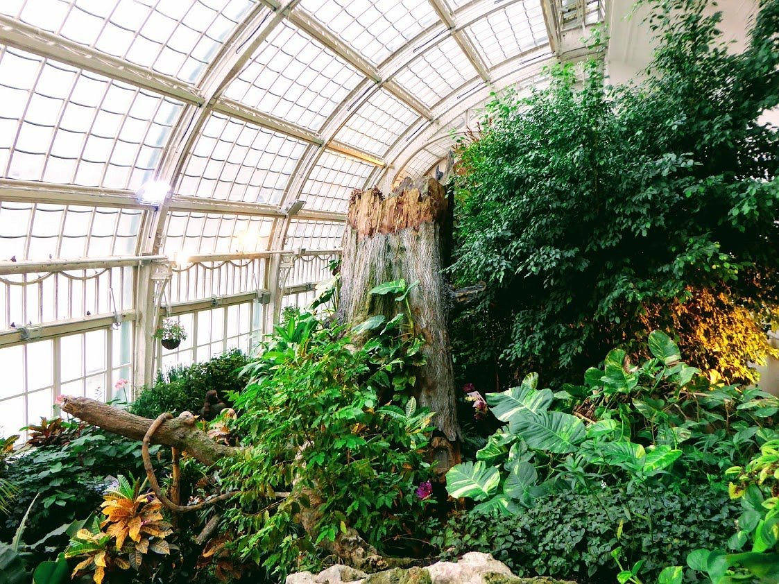 The Butterfly House (Vienna) - All You Need to Know BEFORE You Go