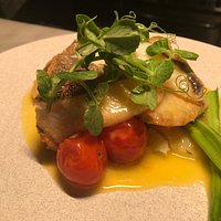 JOHN DORY